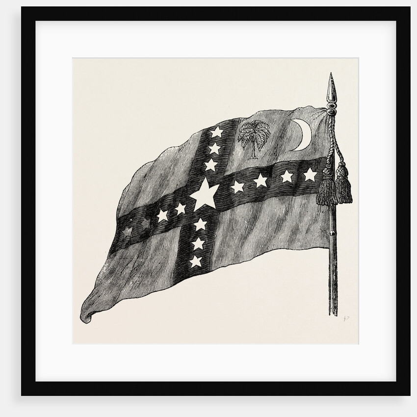 The South Carolina Flag by Anonymous