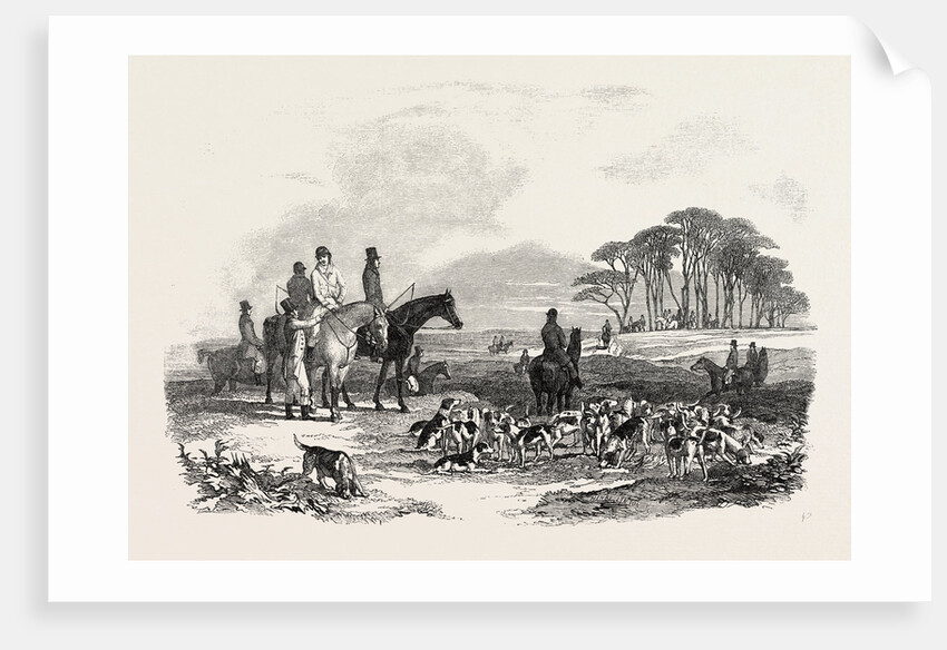 Hare Hunting: The Meet by Anonymous