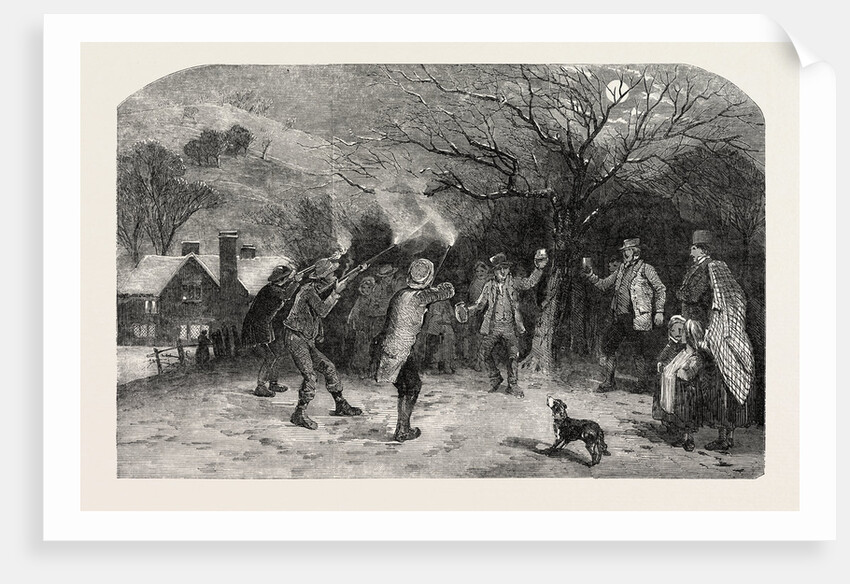 Firing at the Apple Tree, in Devonshire by Anonymous