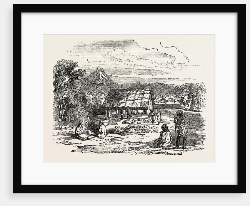 View on Waitera River, North Bank, New Zealand by Anonymous