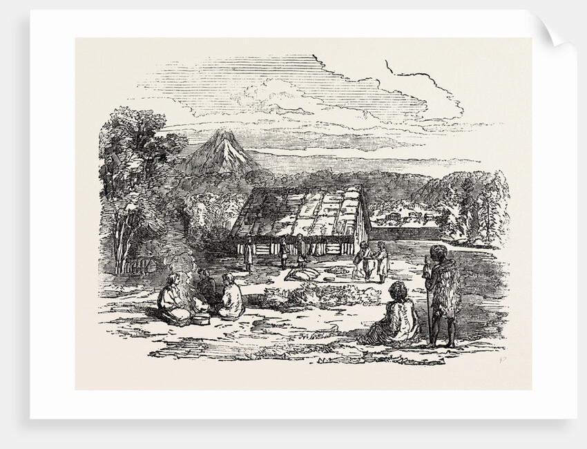 View on Waitera River, North Bank, New Zealand by Anonymous