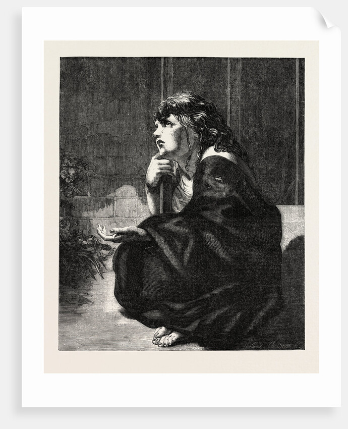 Shade, in the Exhibition of the British Institution by Anonymous