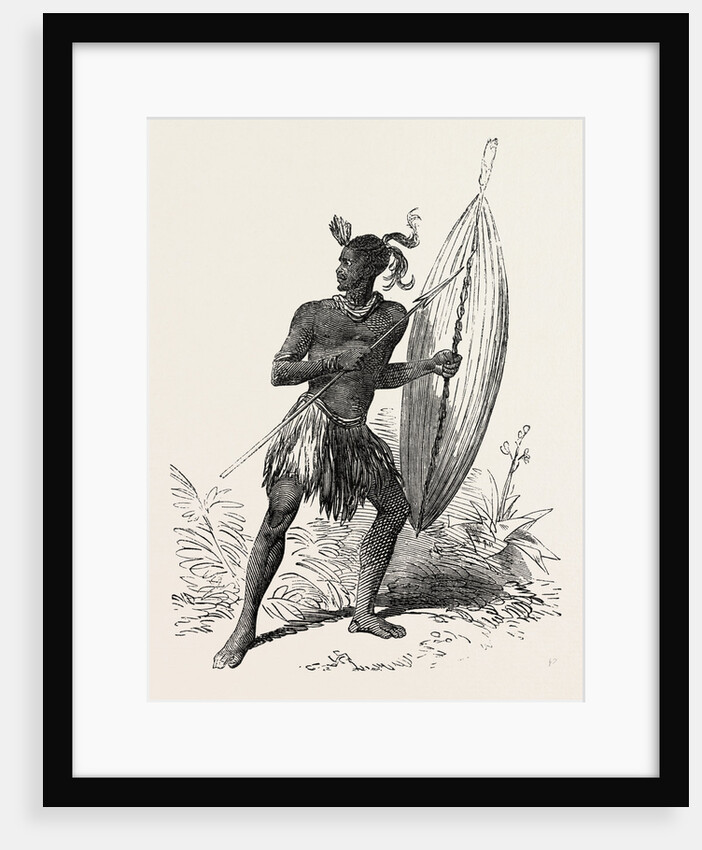Zulu Warrior, Kaffraria, South Africa by Anonymous