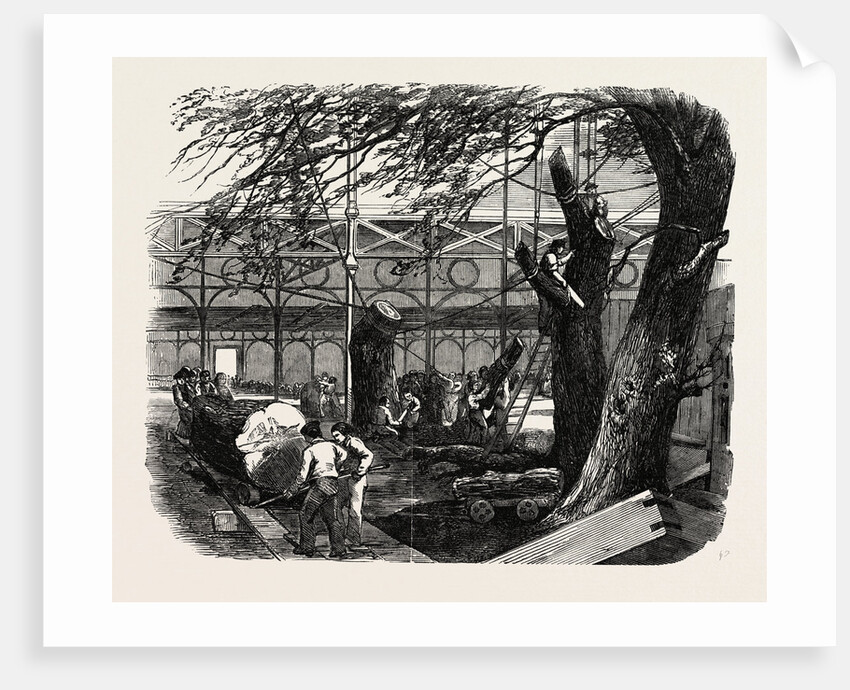 The Great Exhibition Building, the Crystal Palace, Hyde Park, London, Cutting Down Trees in the North Transept by Anonymous