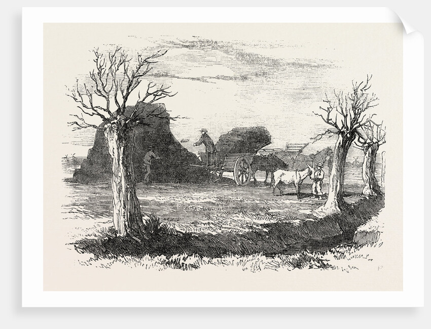 Whittlesea Mere, Carting Peat from the Stack by Anonymous