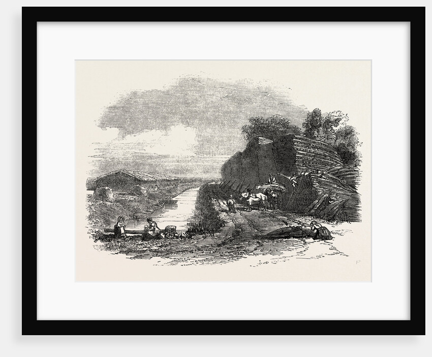 Whittlesea Mere, Stacking Reed, by the Holme Lodge by Anonymous