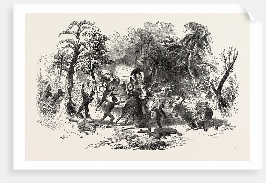 Attack on Colonists' Waggon, by Kaffirs, South Africa by Anonymous