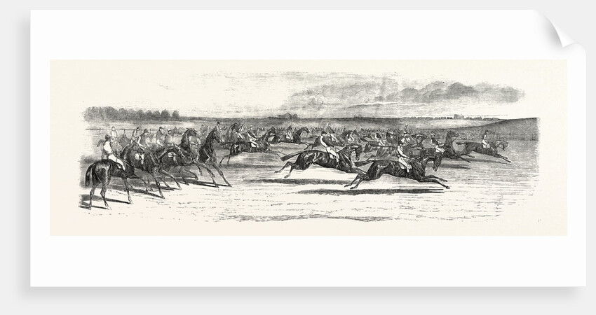 Race Horses Starting at the Derby by Anonymous