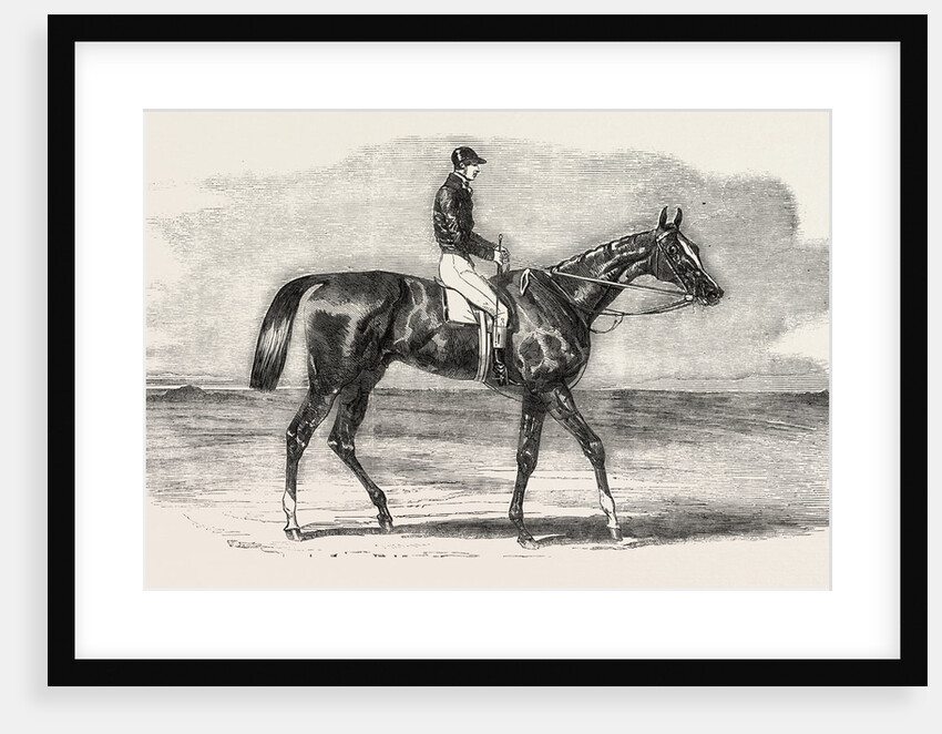 Epsom Races: Teddington, the Winner of the Derby, UK, Horse Racing, Equestrian by Anonymous