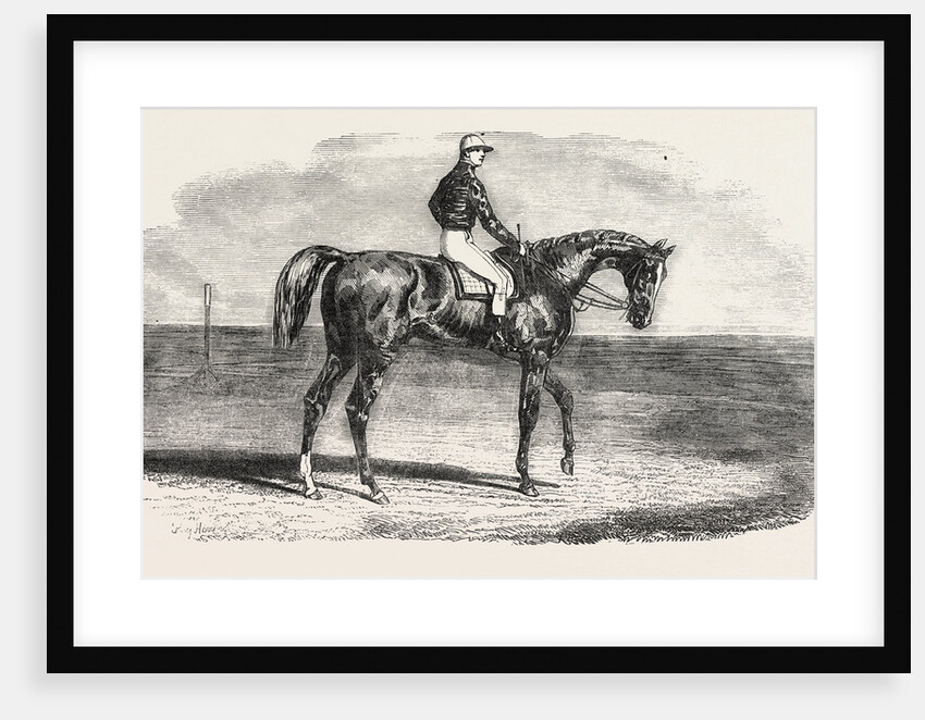 Ascot Races by Anonymous
