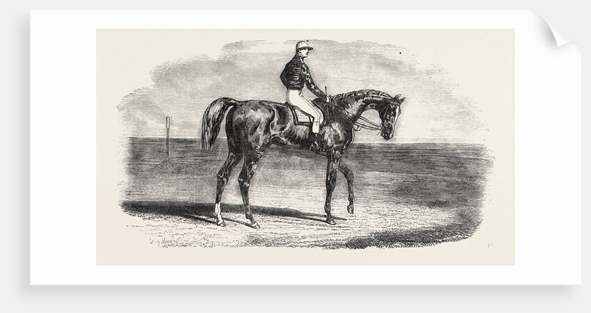 Ascot Races by Anonymous