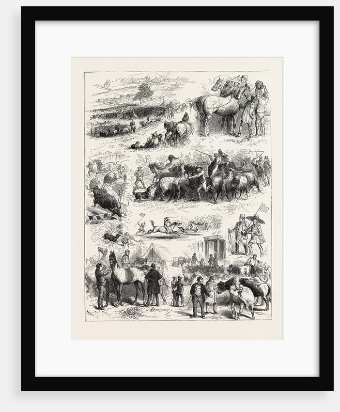 Bipeds and Quadrupeds at Barnet Fair by Anonymous