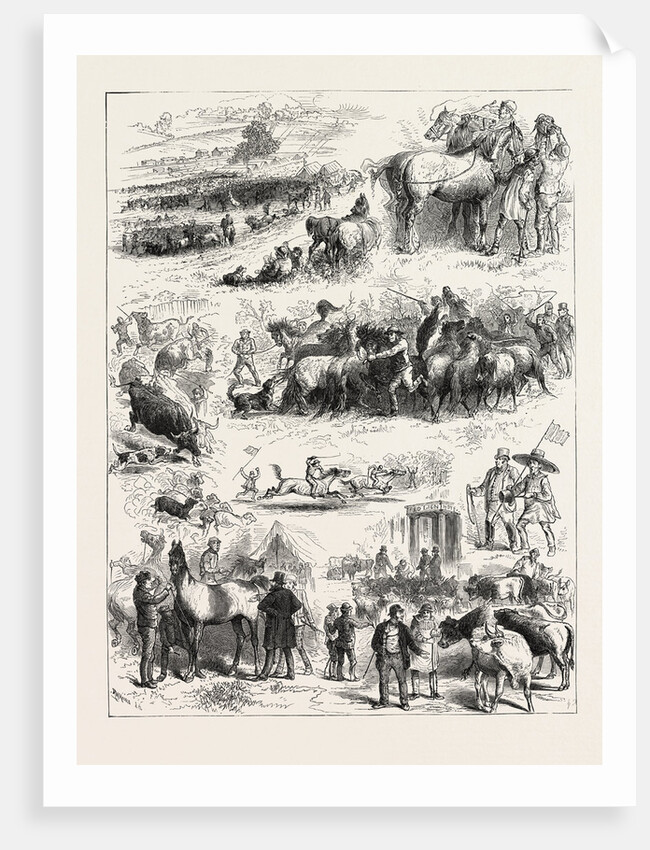 Bipeds and Quadrupeds at Barnet Fair by Anonymous