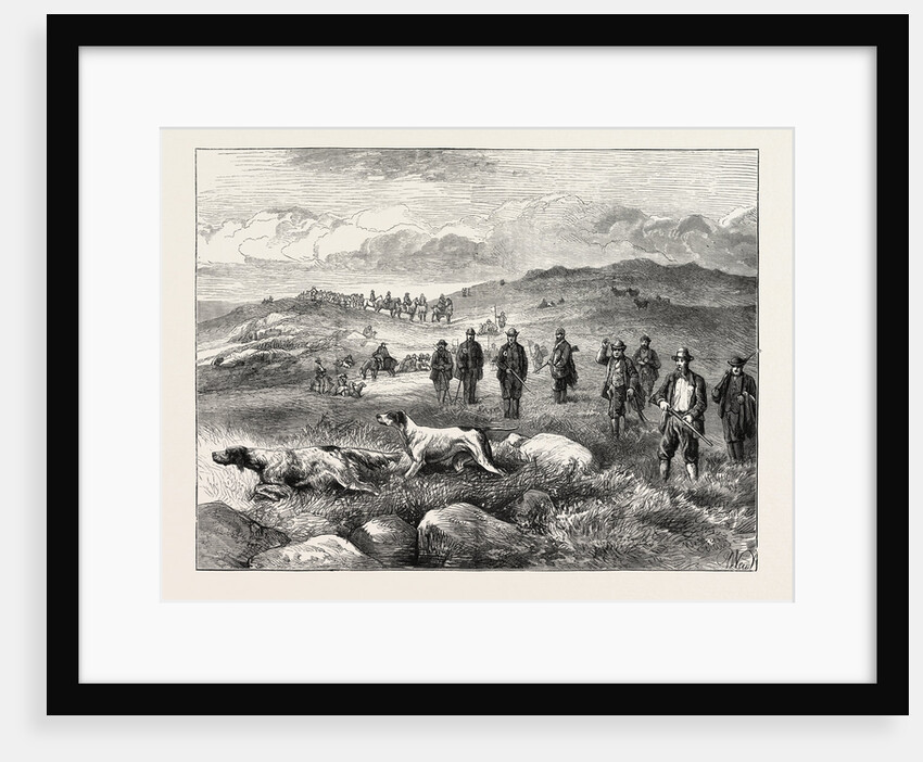 Pointer and Setter Grouse Trials at Rhiwlas, North Wales: General View of the Ground by Anonymous