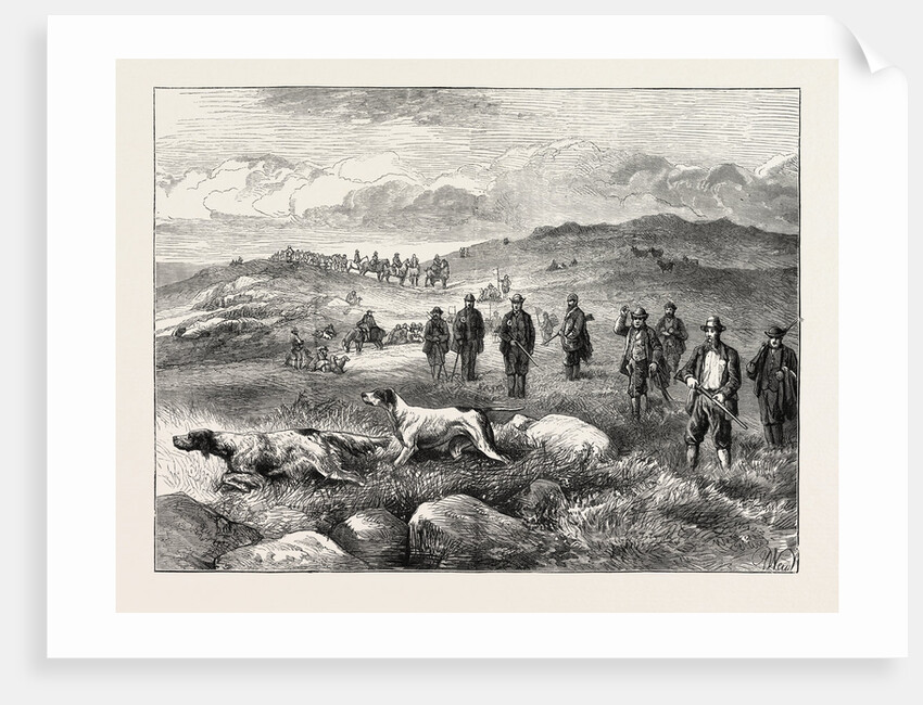 Pointer and Setter Grouse Trials at Rhiwlas, North Wales: General View of the Ground by Anonymous