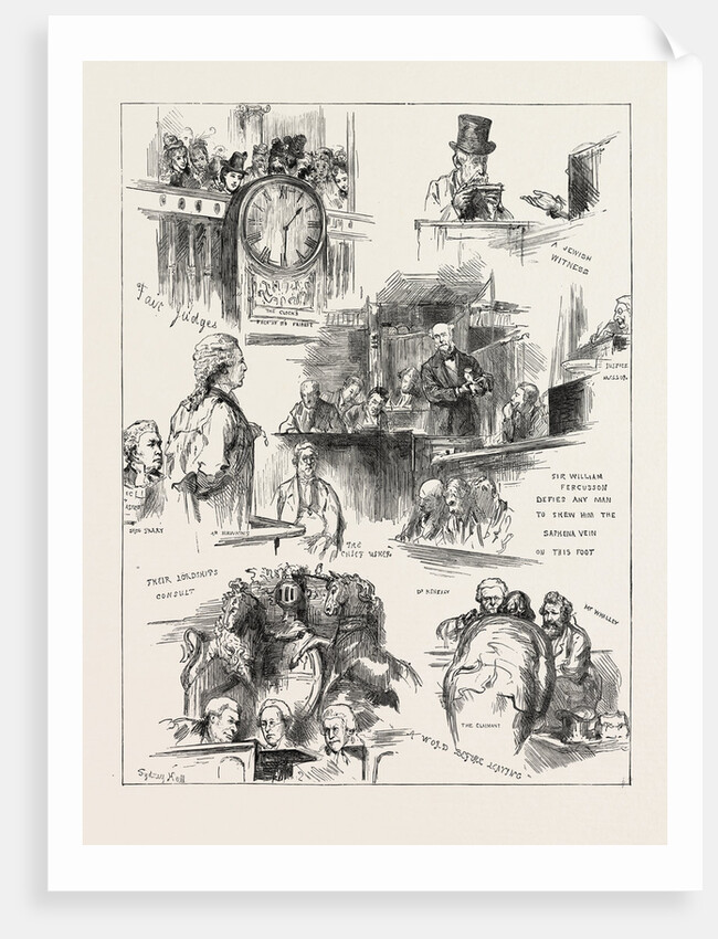 The Tichborne Case: Further Sketches in Court by Anonymous