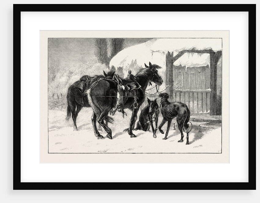 Coursing in Poland: Two Polish Hunters by Anonymous