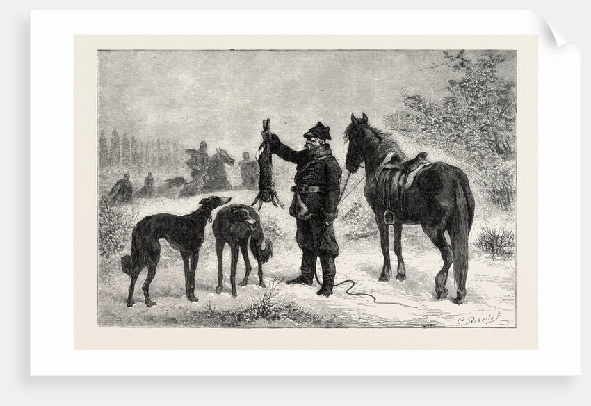 Coursing in Poland: Caught at Last by Anonymous