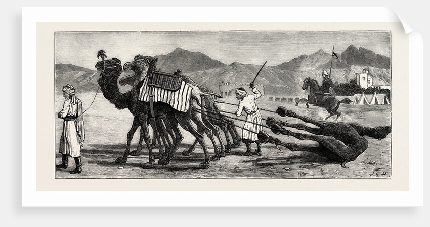The Campaign in Afghanistan: A Camel's Funeral Procession by Anonymous
