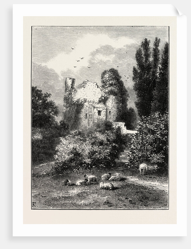 Remains of Ancient Castle, Hawarden Park, Wales by Anonymous