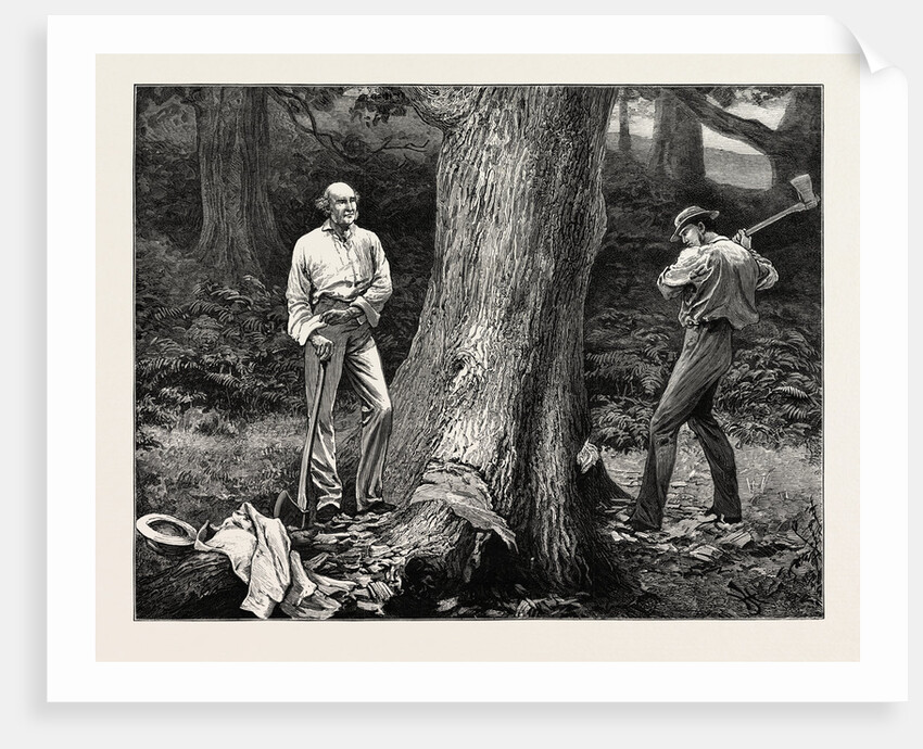 A Holiday Task at Hawarden, 1877, Gladstone Preparing to Fell a Tree by Anonymous