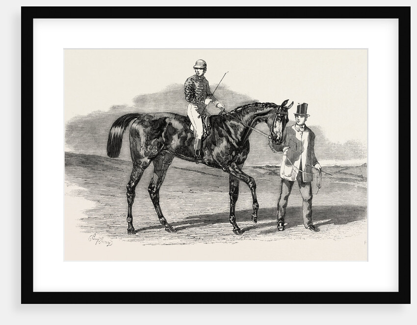 Sweetsauce: The Winner of the Stewards' and the Goodwood Cups, UK by Anonymous