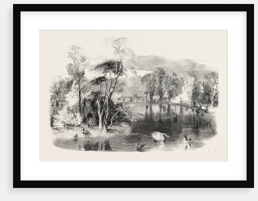 The New Lake, Kew Gardens, London by Anonymous