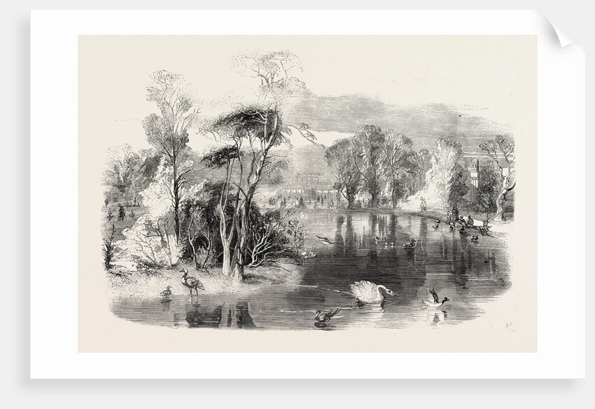 The New Lake, Kew Gardens, London by Anonymous
