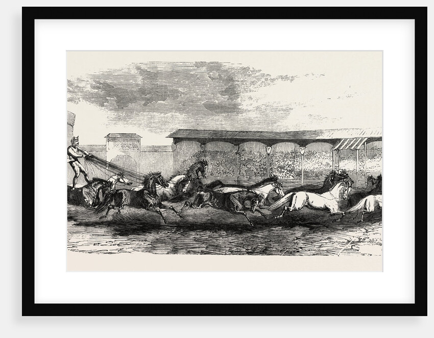 The Paris Hippodrome: Seventeen Horses Driven by M. Marin, France by Anonymous
