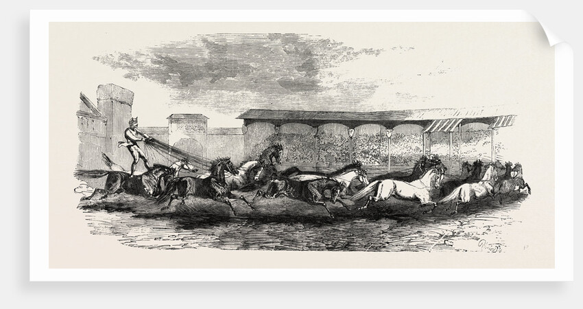The Paris Hippodrome: Seventeen Horses Driven by M. Marin, France by Anonymous