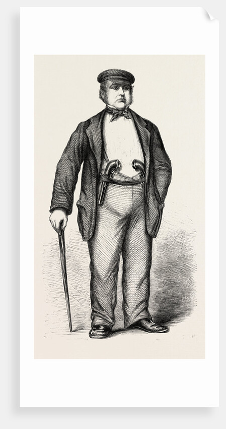 Mr. Edwin James, Q.C., in Garibaldi's Camp by Anonymous