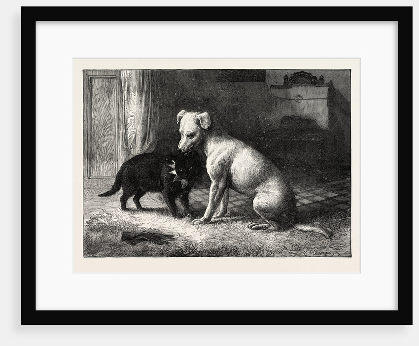 Landseer's Pet Dog Tiney and Pet Cat by Anonymous