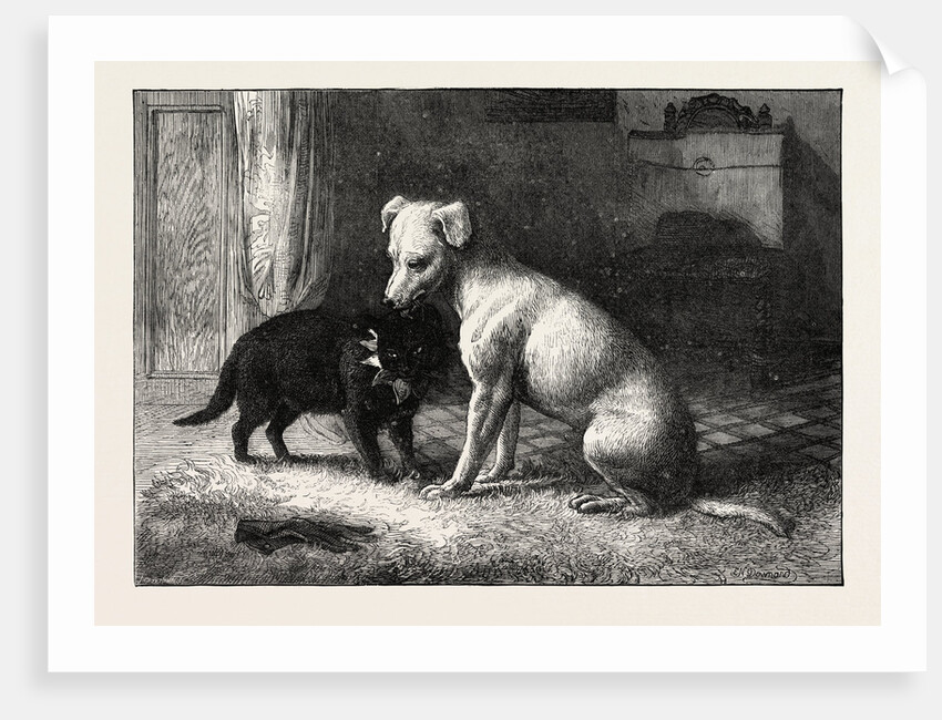 Landseer's Pet Dog Tiney and Pet Cat by Anonymous