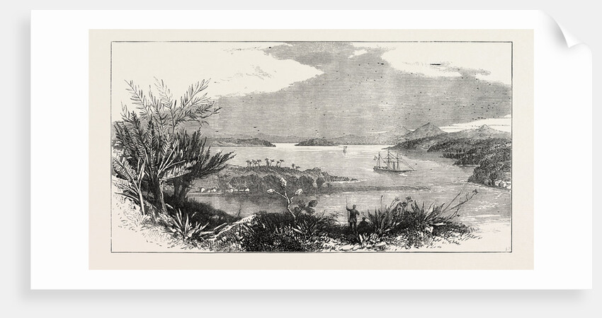 The Newly-Discovered Harbour of Mto Mtwara, East Coast of Africa by Anonymous