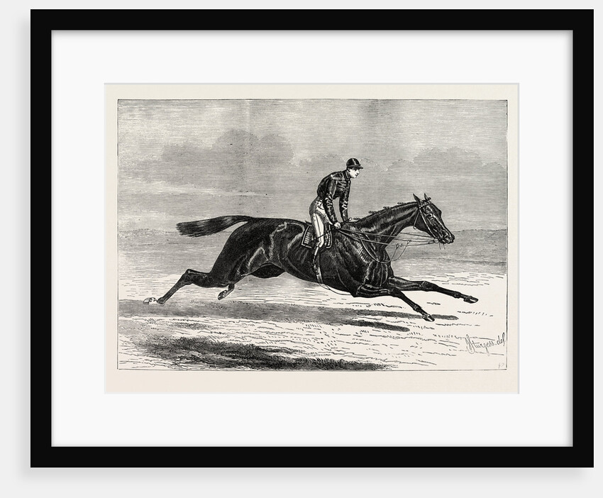 Aventuriere, Winner of the Cesarewitch Stakes at Newmarket by Anonymous