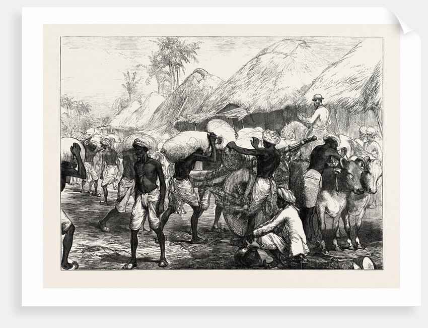 The Famine in Bengal: Loading Grain Carts Near Calcutta by Anonymous
