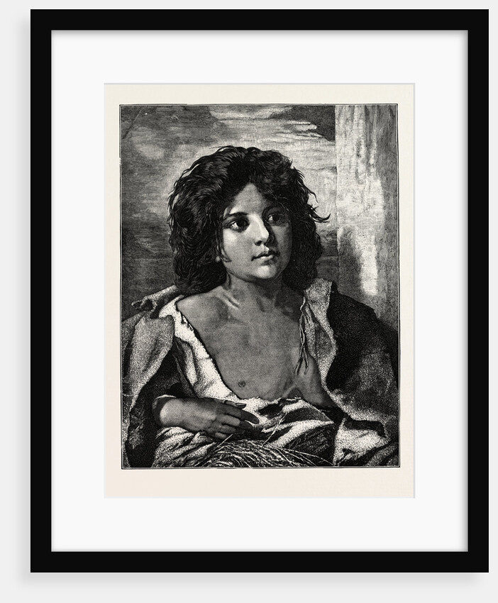 A Gipsy by Anonymous