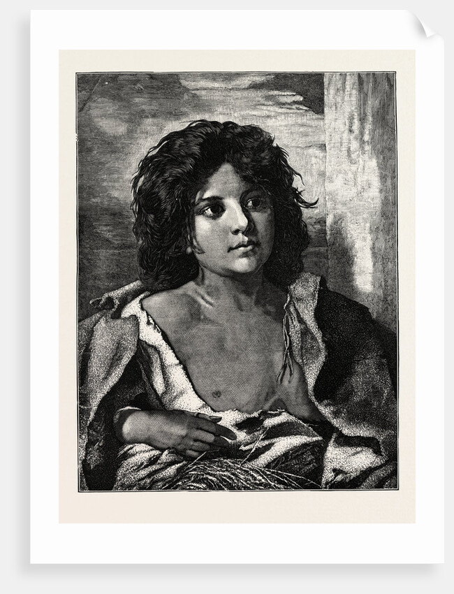 A Gipsy by Anonymous