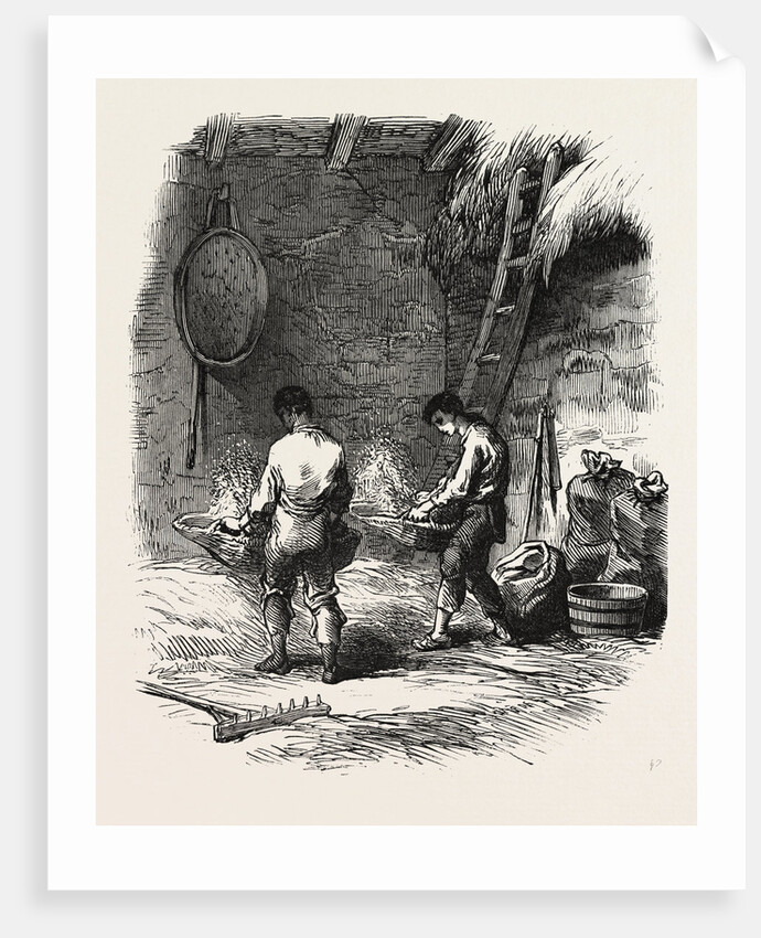 French Agriculture: Winnowing by Anonymous