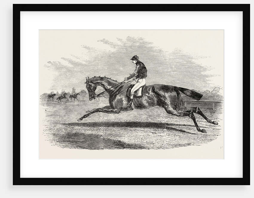 S.A. Nichol's Newminster, Winner of the Great St. Leger Stakes, at Doncaster, 1851 by Anonymous
