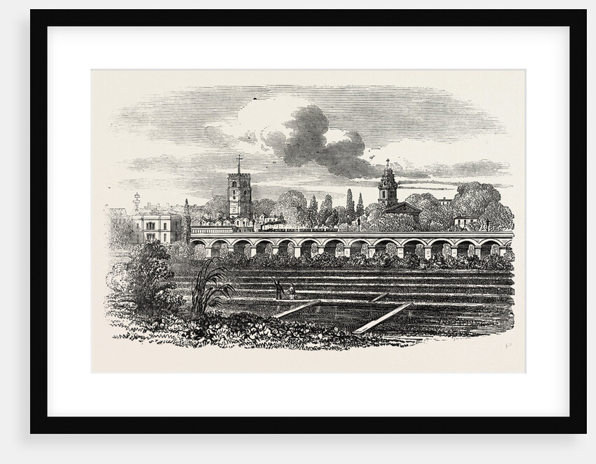 Hackney Station, and Watercress Plantation, London by Anonymous