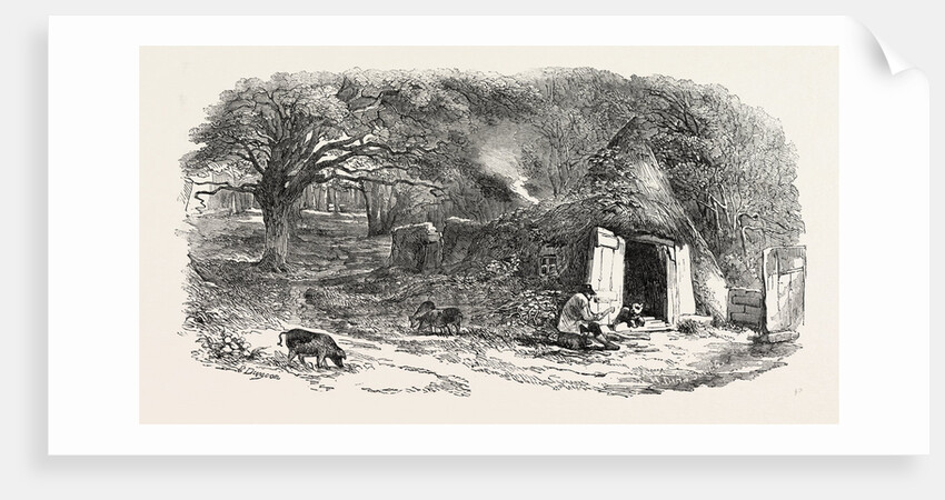 Hut in the Middle of the Hainault Forest by Anonymous