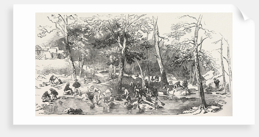 The Australian Gold District: Fitzroy Bar, Ophis, at the Junction of the Two Creeks, Australia by Anonymous