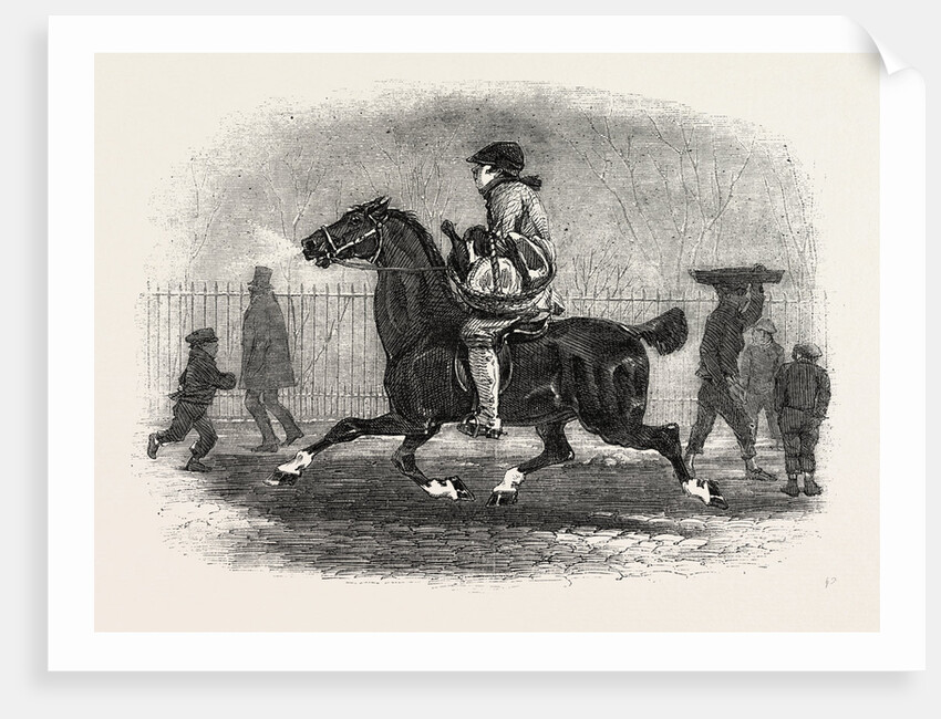 Christmas Joints by Anonymous