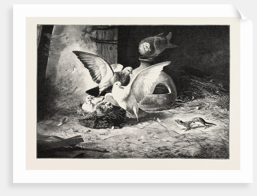 An Unwelcome Visitor by Anonymous