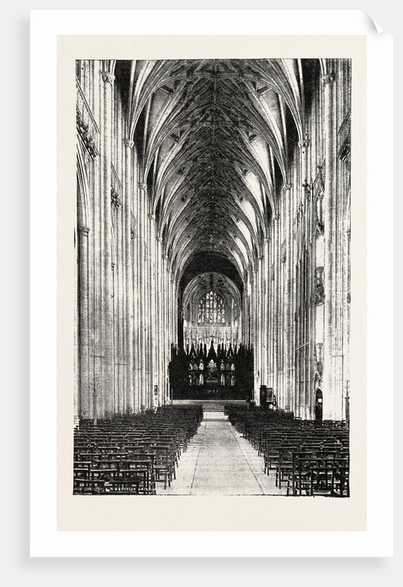Eight Hundredth Anniversary of Winchester Cathedral: The Nave, UK by Anonymous