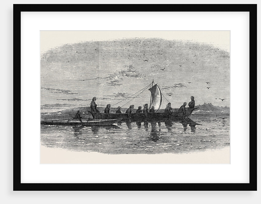Skin Boats Used by the Natives of Point Barrow by Anonymous