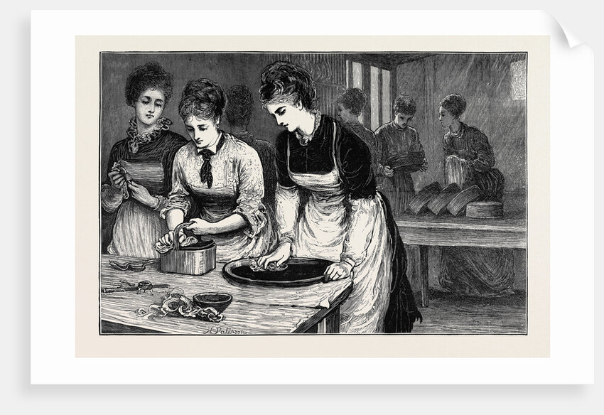 National Training School of Cookery at South Kensington: Morning, in the Scullery by Anonymous