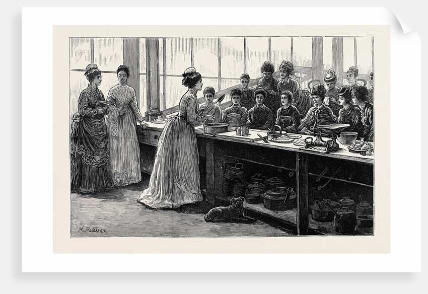 National Training School of Cookery at South Kensington: Afternoon, Lecture on Practical Cookery Seasoning Fricandeau of Veal by Anonymous