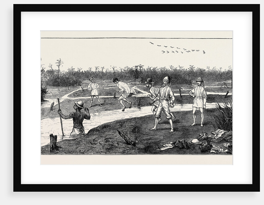 Crossing the Pitch Lake in the Island of Trinidad, West Indies by Anonymous